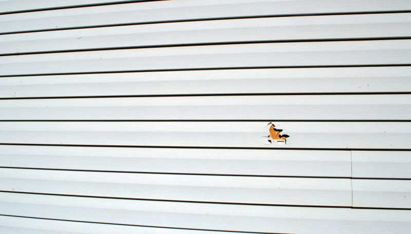 Vinyl Siding Repair Close-up